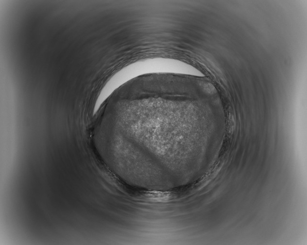 X0000095960328200802081322