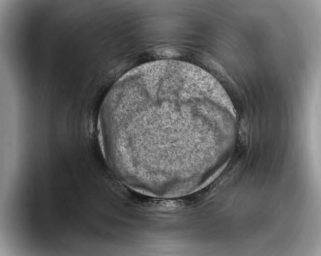 X0000095960330200802081322