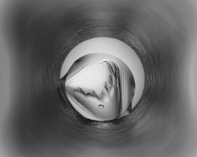 X0000095960332200802081322
