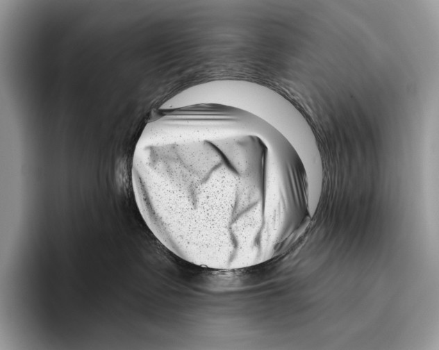 X0000095960335200802081322