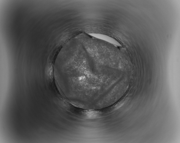 X0000095960336200802081322