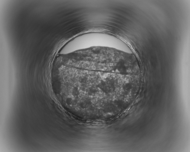 X0000095960337200802081322