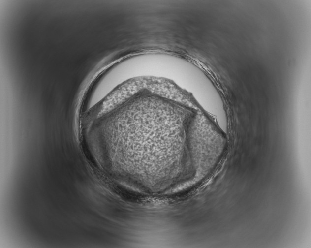X0000095960343200802081322