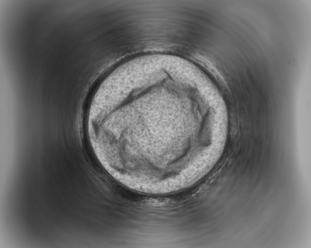 X0000095960346200802081322