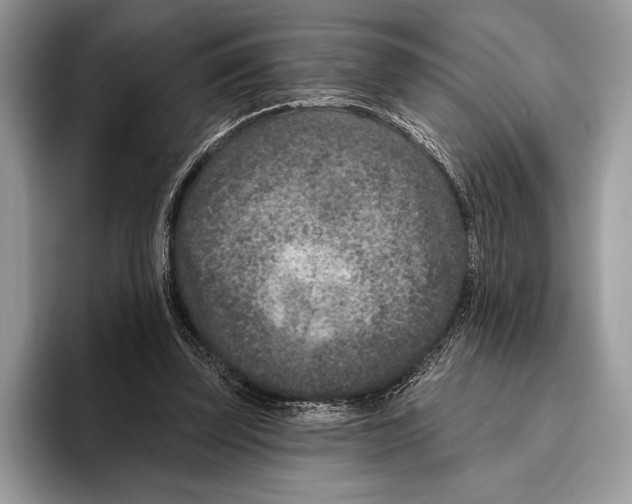 X0000095960347200802081322