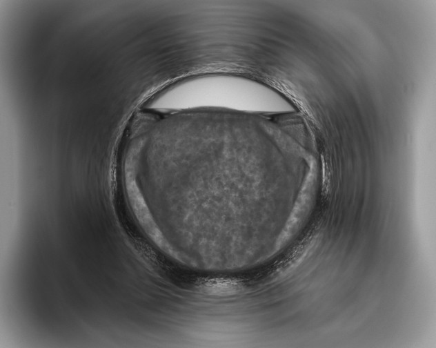 X0000095960348200802081322