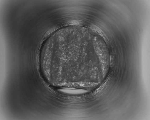 X0000095960349200802081322