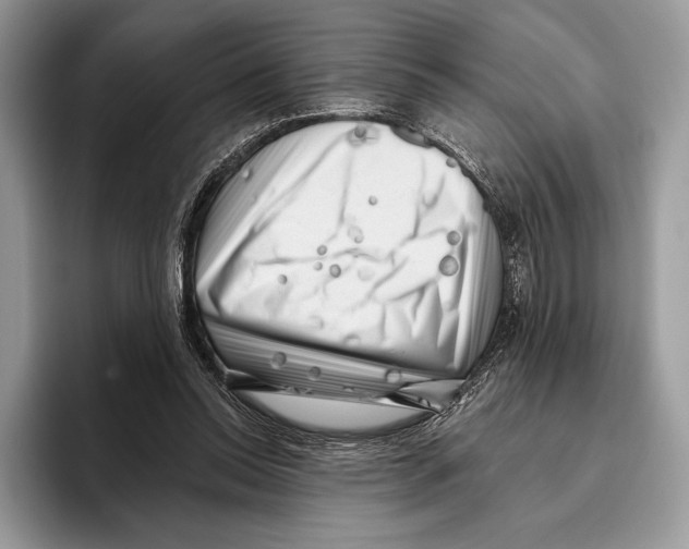 X0000095960350200802081322