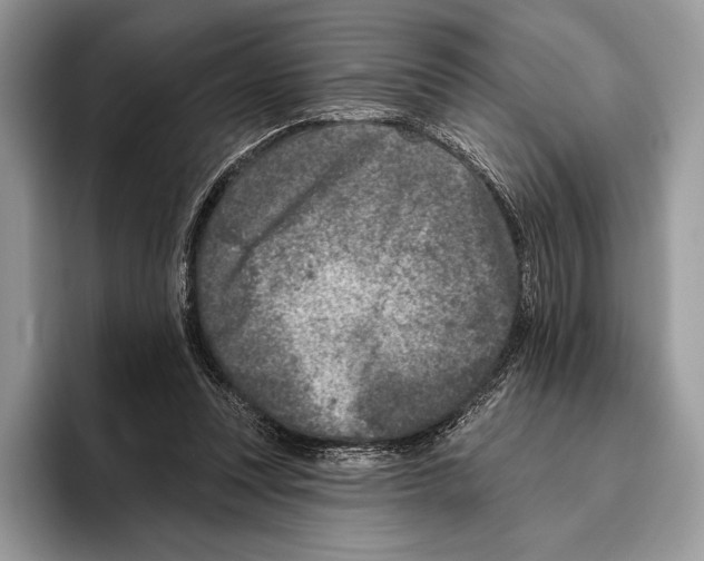 X0000095960351200802081322