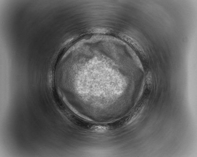 X0000095960352200802081322