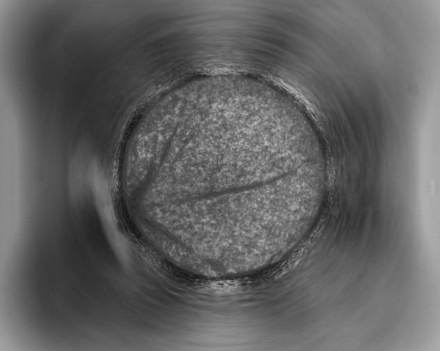 X0000095960353200802081322