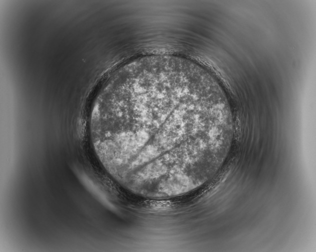 X0000095960355200802081322