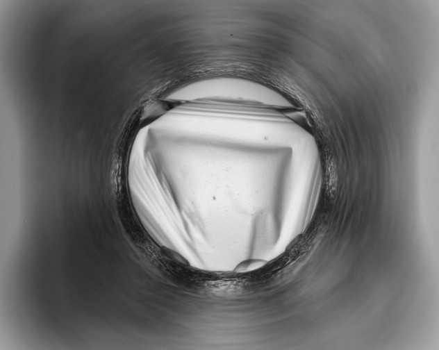 X0000095960356200802081322