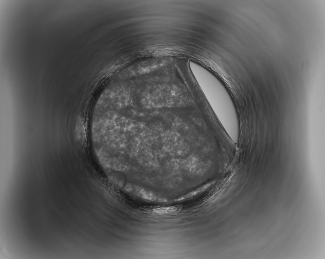 X0000095960357200802081322