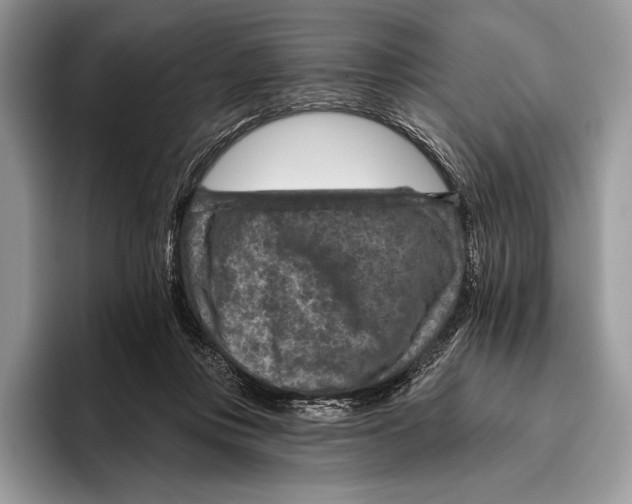 X0000095960359200802081322