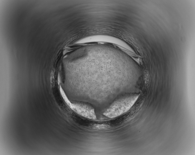 X0000095960360200802081322