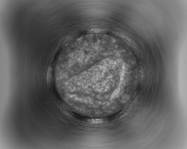 X0000095960361200802081322
