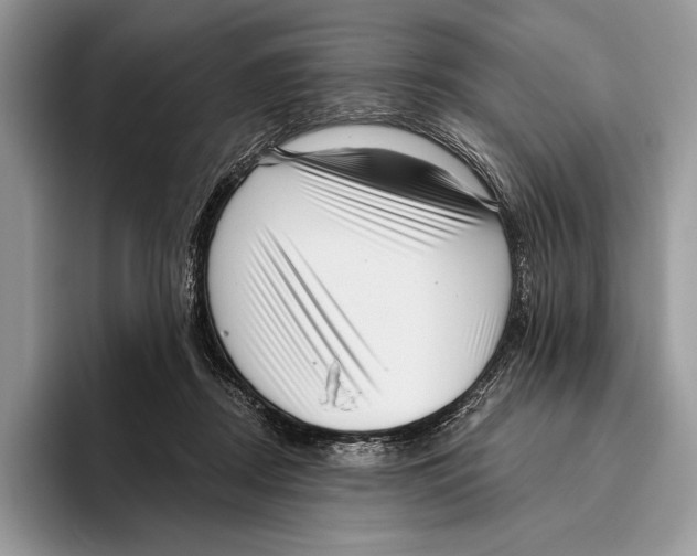 X0000095960362200802081322