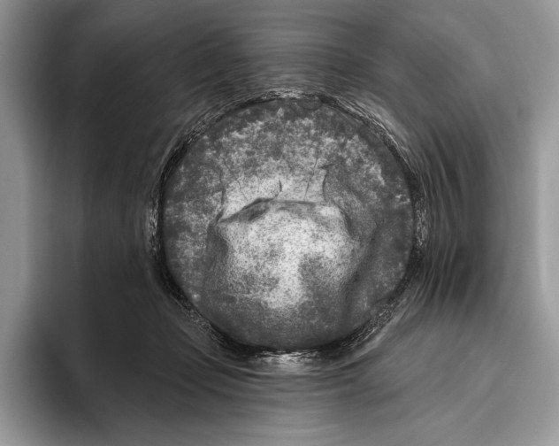 X0000095960365200802081322