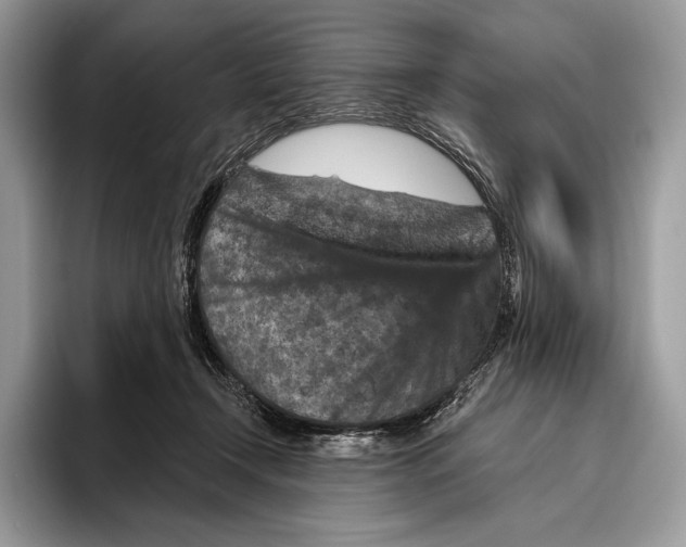 X0000095960366200802081322