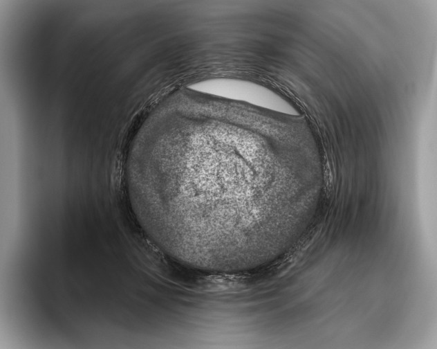 X0000095960367200802081322