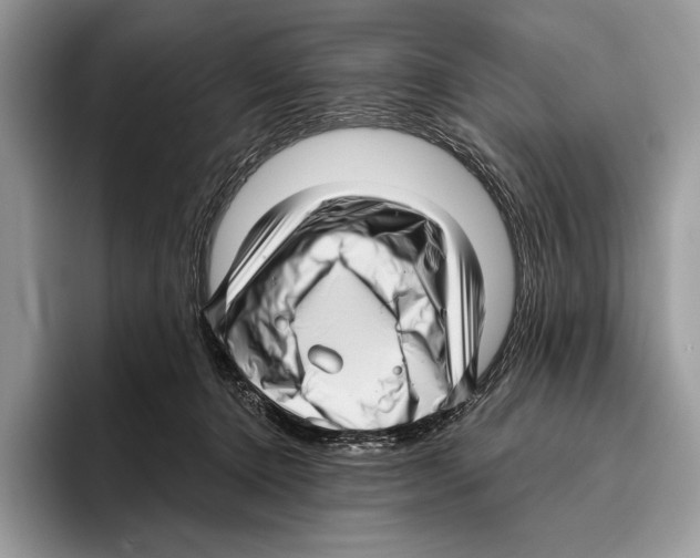 X0000095960368200802081322