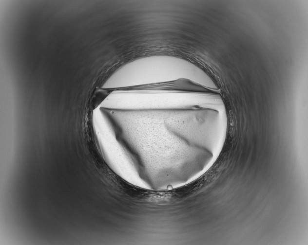 X0000095960369200802081322