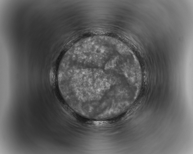 X0000095960371200802081322