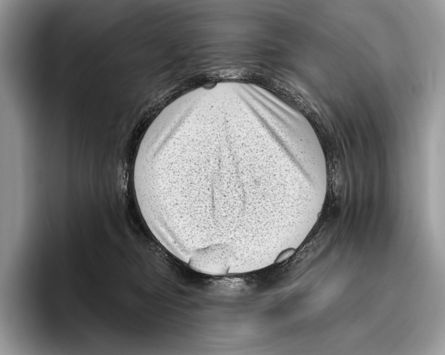 X0000095960374200802081322