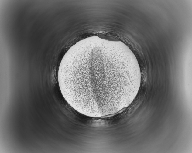 X0000095960376200802081322