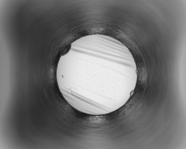 X0000095960378200802081322