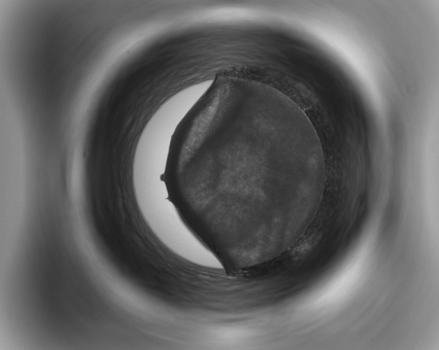 X0000095960382200802081322