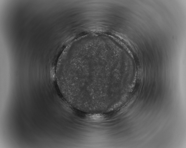 X0000095960383200802081322