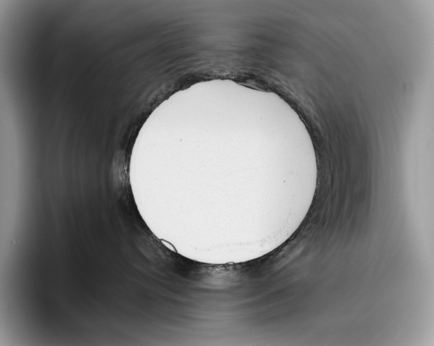 X0000095960384200802081322