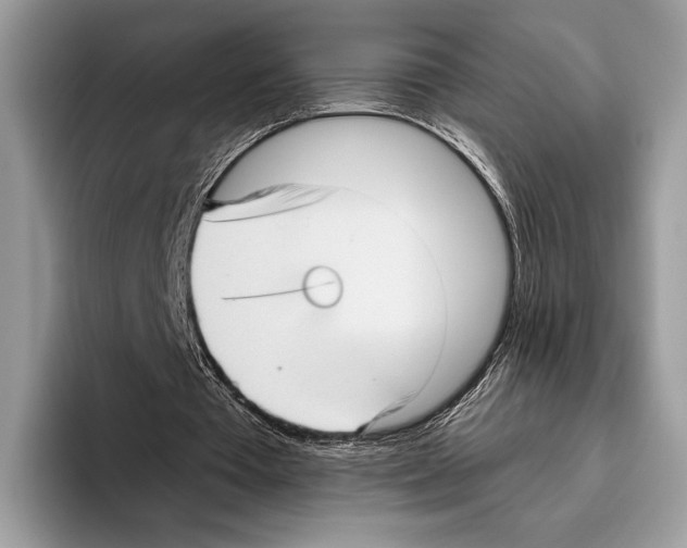 X0000095960385200802081322
