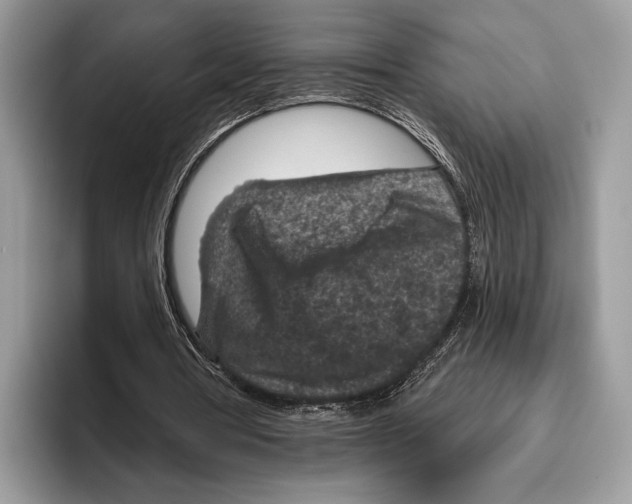 X0000095960386200802081322