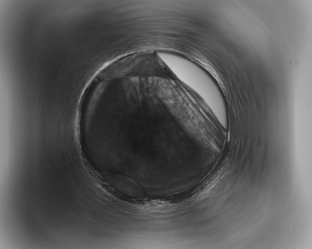 X0000095960387200802081322
