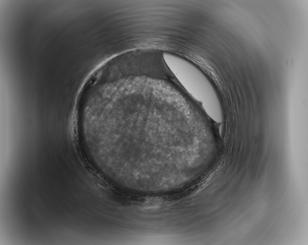 X0000095960388200802081322