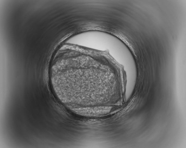 X0000095960390200802081322