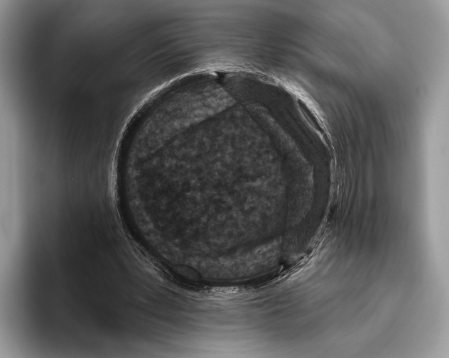X0000095960391200802081322