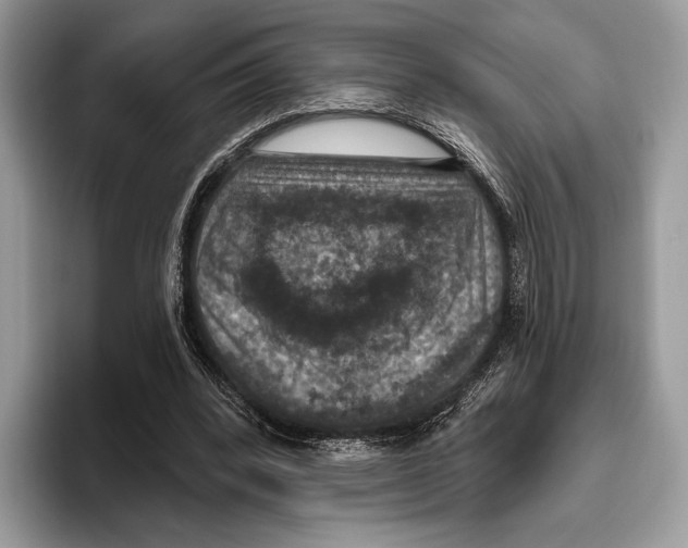 X0000095960392200802081322