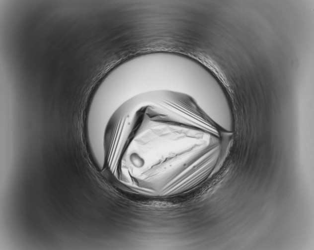 X0000095960393200802081322