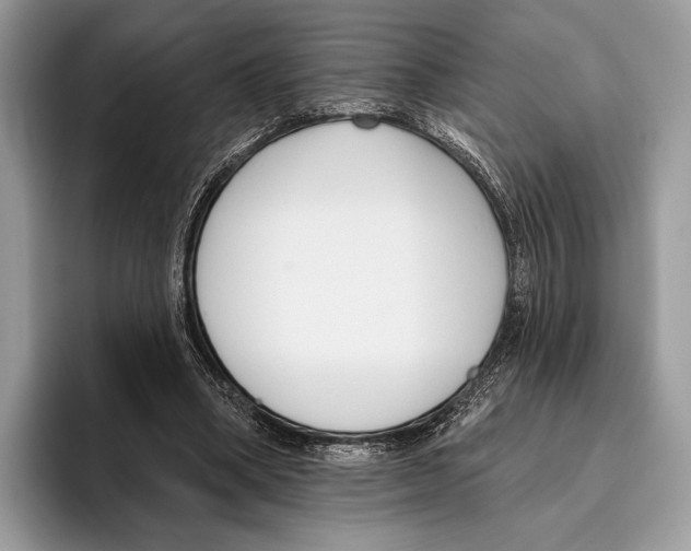 X0000095960394200802081322
