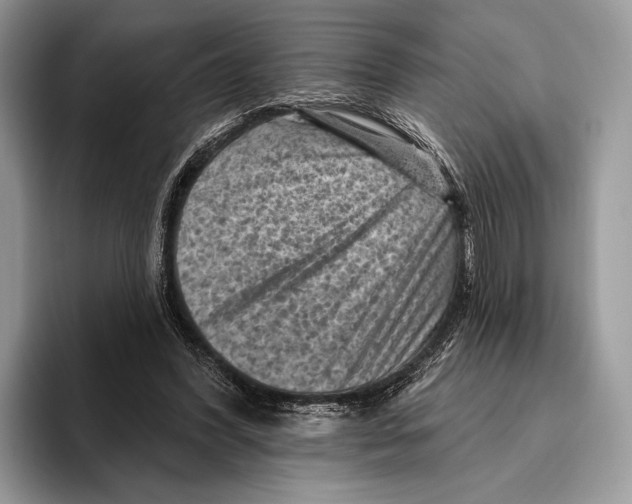 X0000095960396200802081321
