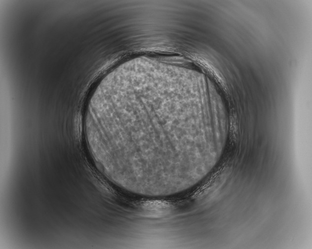 X0000095960397200802081321