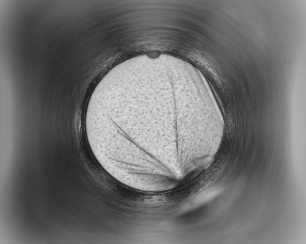 X0000095960398200802081321