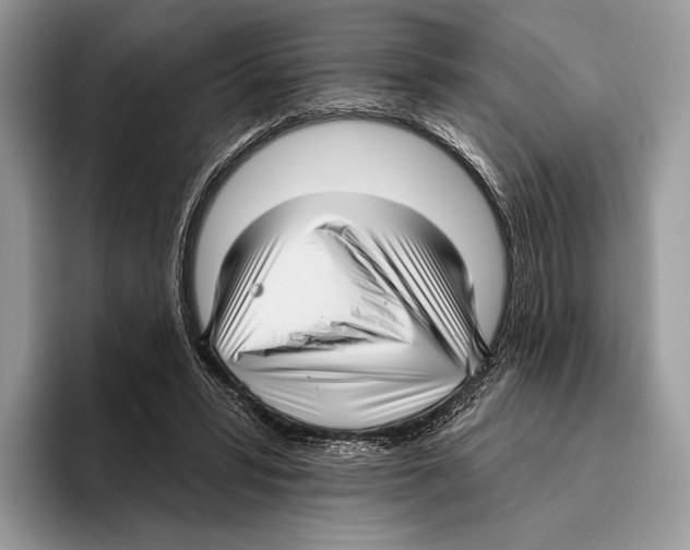 X0000095960399200802081321