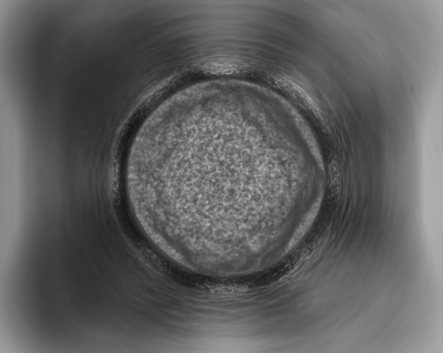 X0000095960400200802081321
