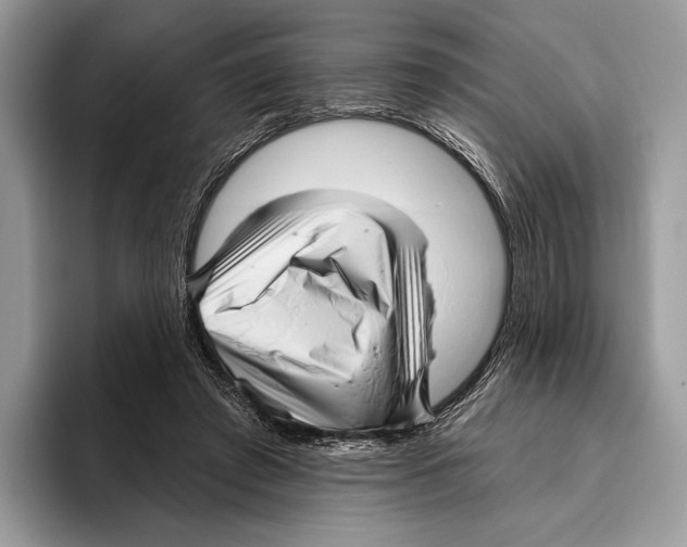 X0000095960401200802081321