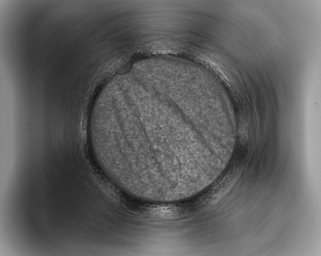 X0000095960402200802081321